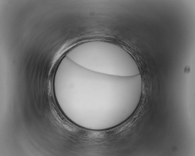 X0000115760198200911131007