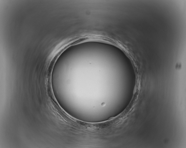 X0000115760199200911131007