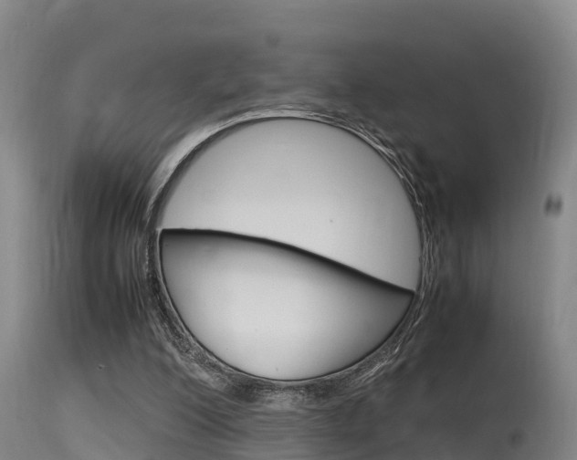X0000115760200200911131007