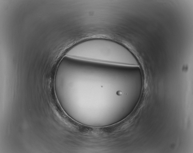 X0000115760201200911131007