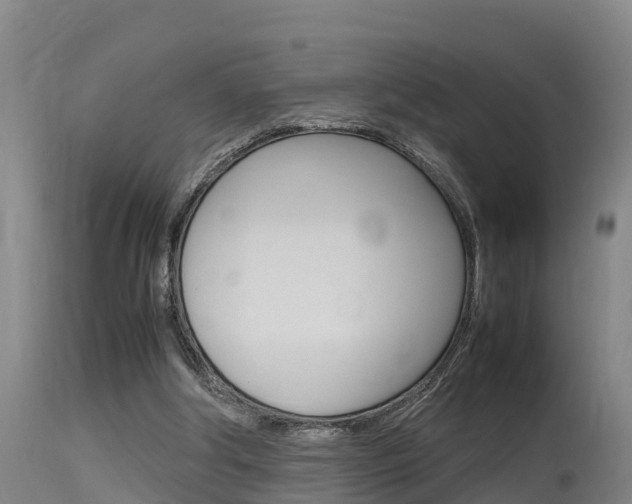 X0000115760202200911131007