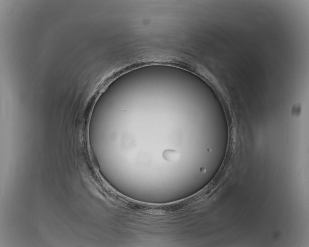 X0000115760203200911131007