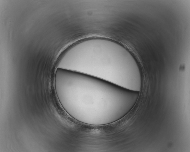 X0000115760204200911131007