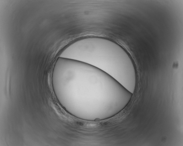 X0000115760205200911131007