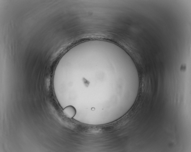 X0000115760206200911131007