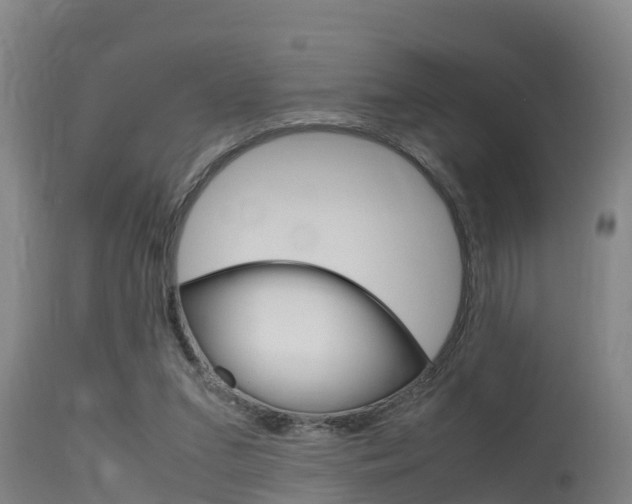 X0000115760207200911131007