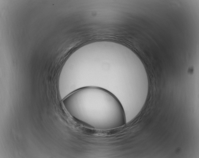 X0000115760211200911131007