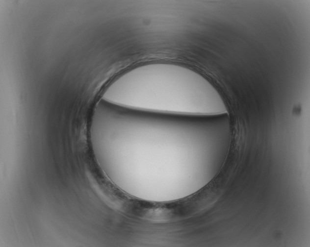 X0000115760212200911131007
