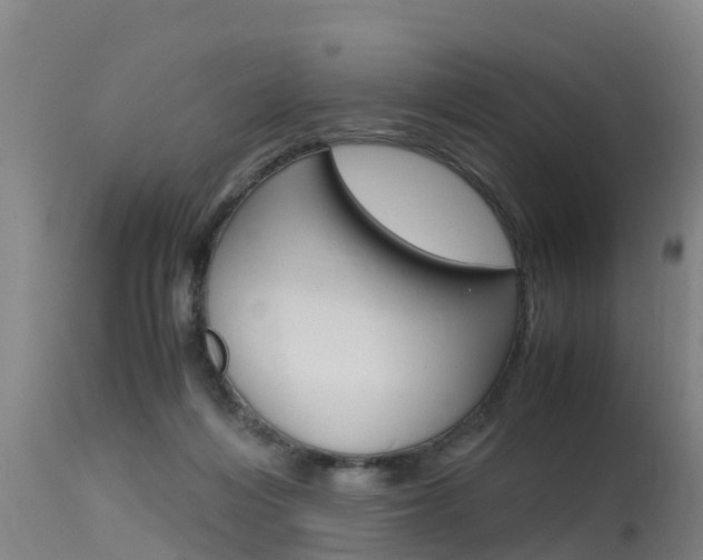 X0000115760216200911131007