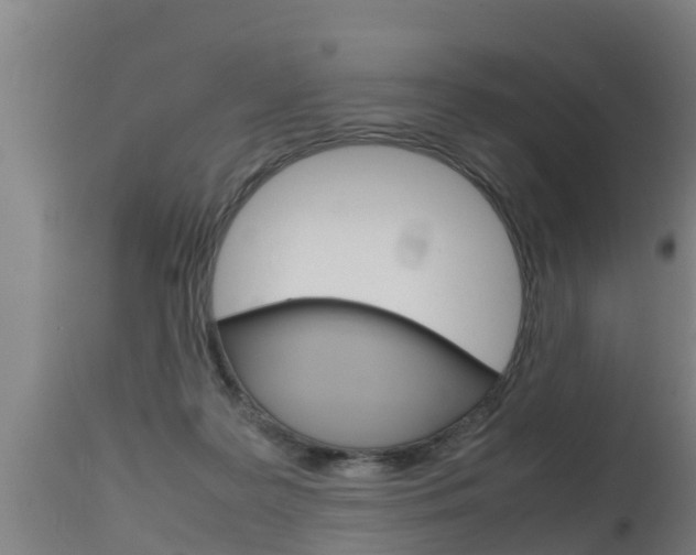 X0000115760219200911131007