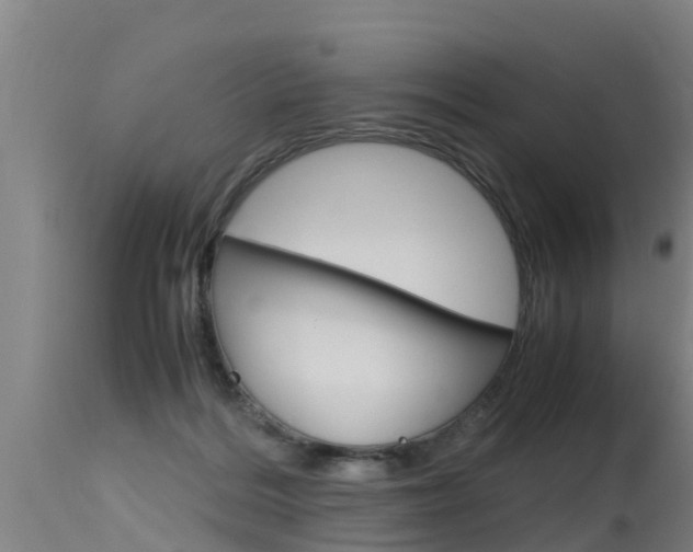 X0000115760220200911131007