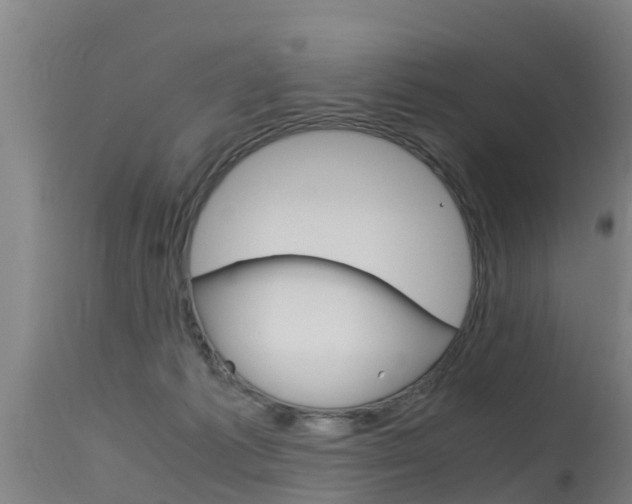 X0000115760221200911131007