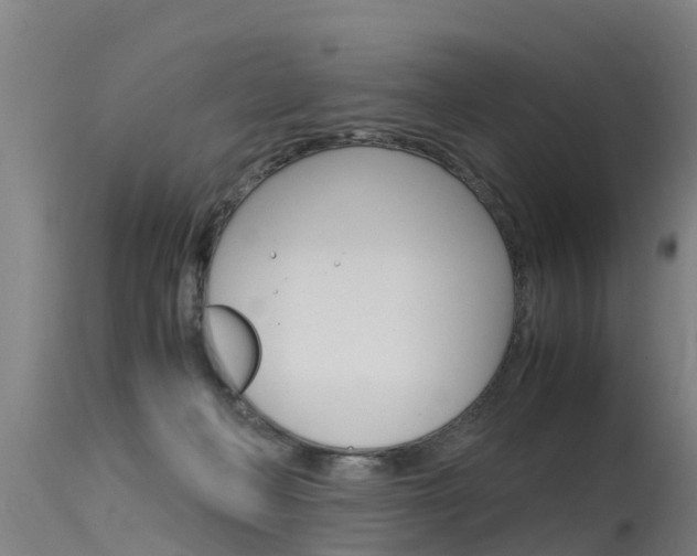 X0000115760222200911131007