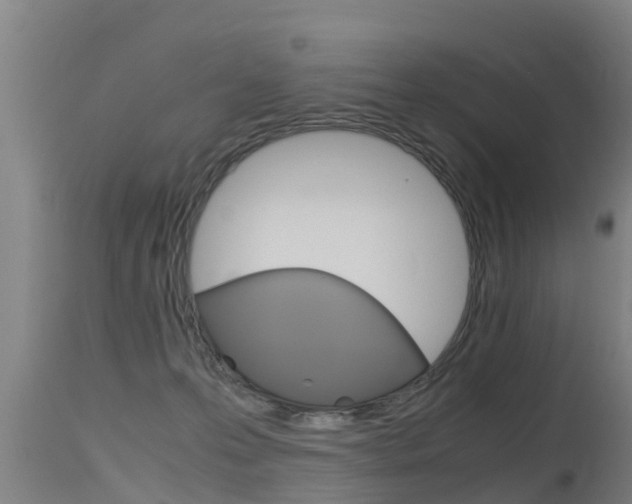 X0000115760223200911131007