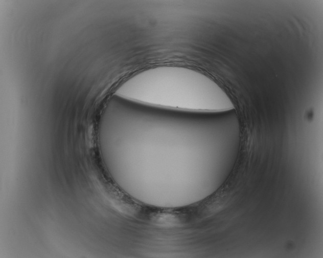 X0000115760224200911131007