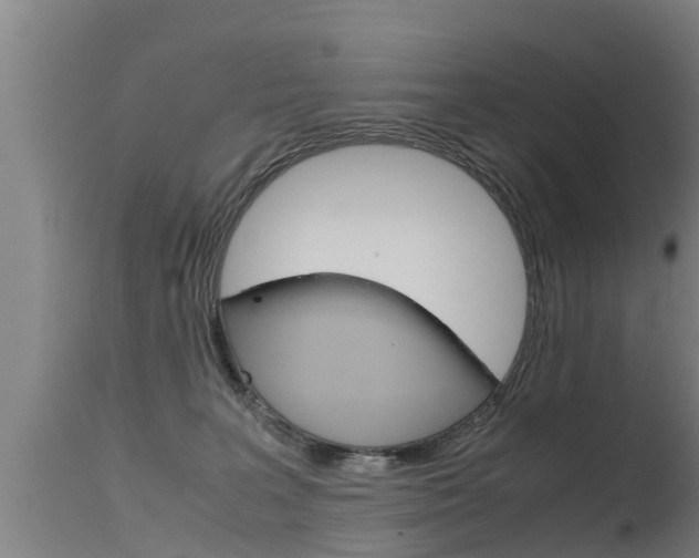 X0000115760227200911131007