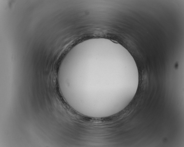 X0000115760228200911131007