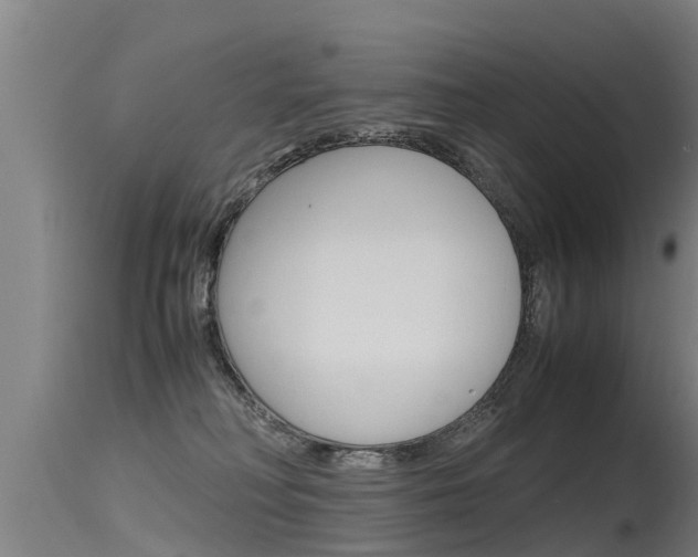 X0000115760230200911131007