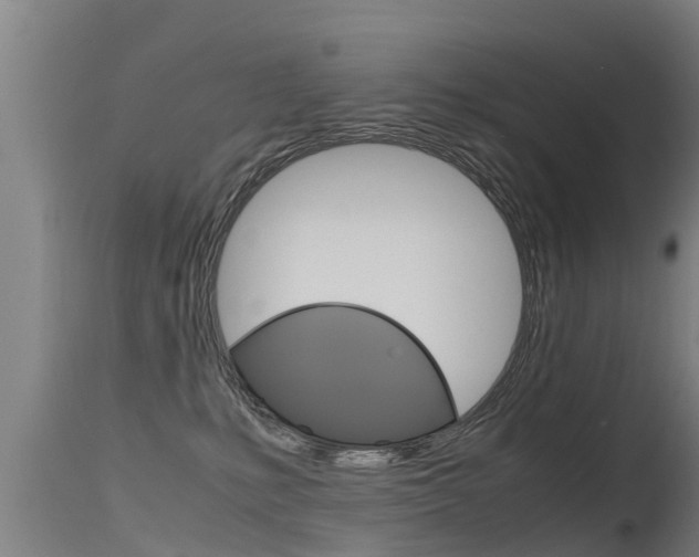 X0000115760231200911131006