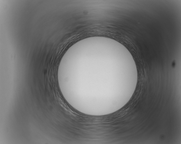 X0000115760233200911131006