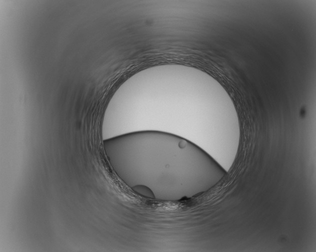 X0000115760235200911131006