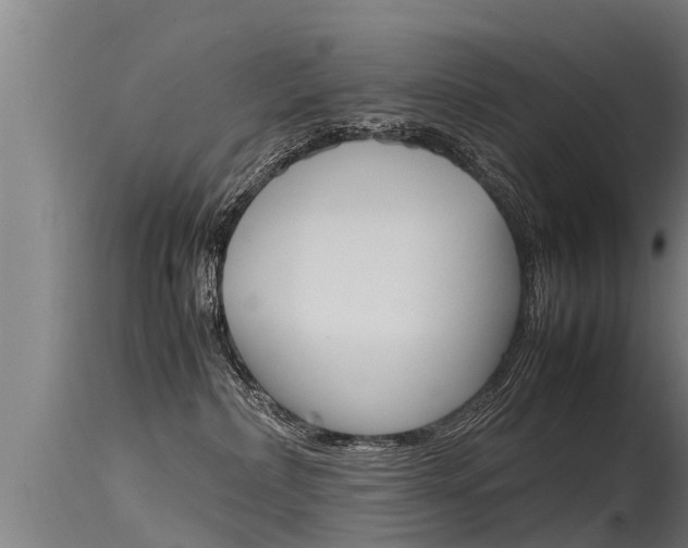 X0000115760236200911131006