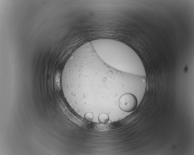 X0000115760238200911131006