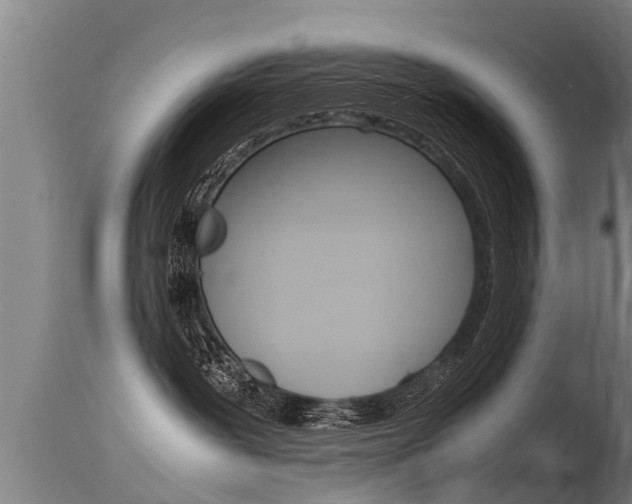 X0000115760239200911131006