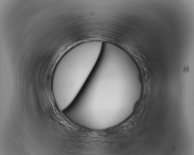 X0000115760241200911131006
