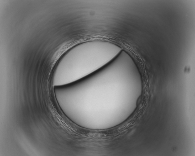 X0000115760242200911131006