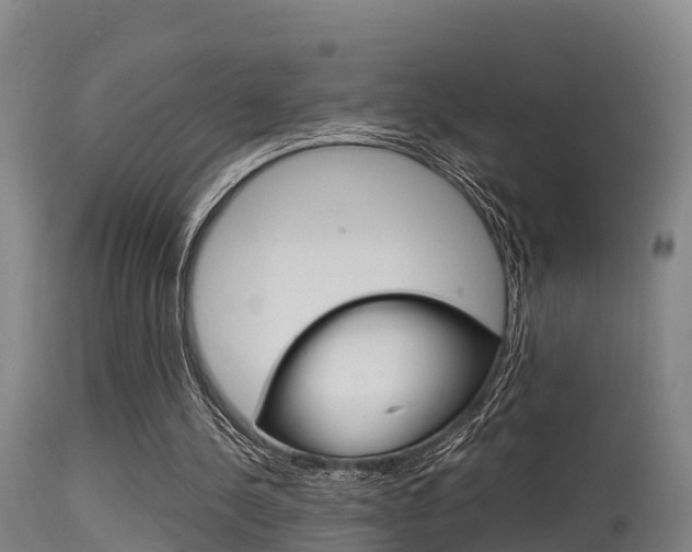 X0000115760244200911131006