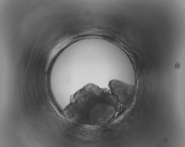 X0000115760245200911131006