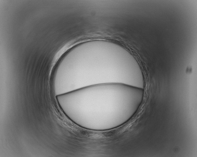 X0000115760246200911131006
