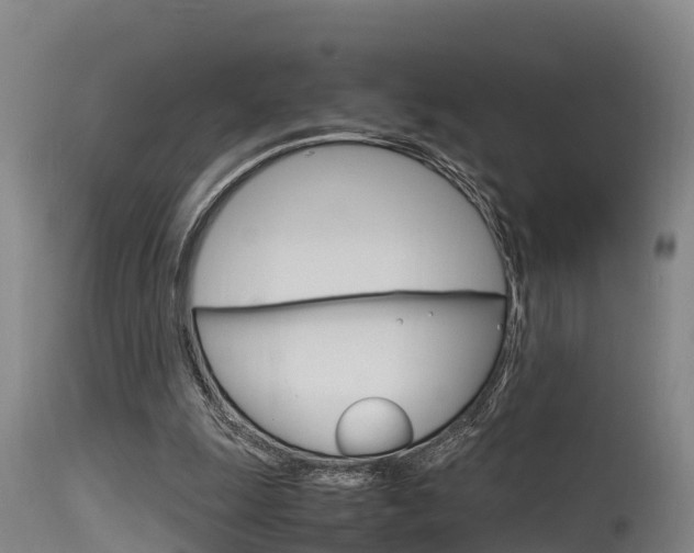 X0000115760247200911131006