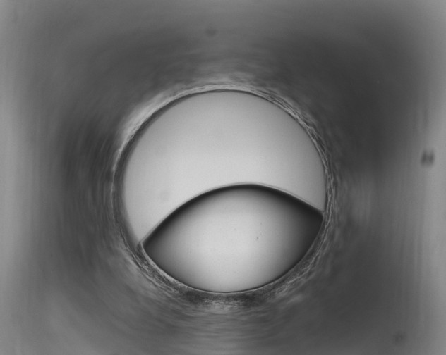 X0000115760248200911131006