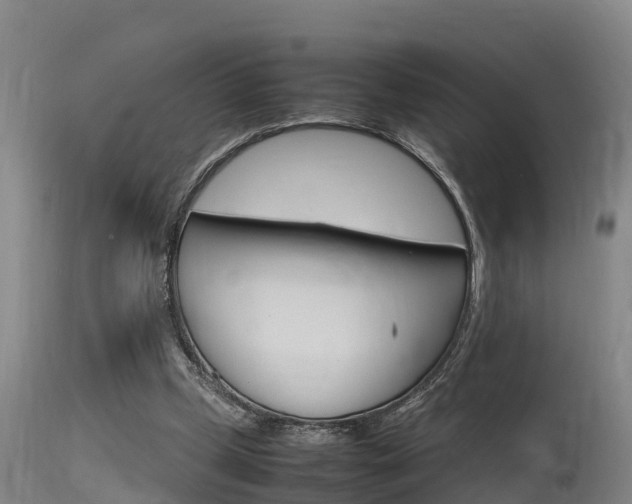 X0000115760249200911131006