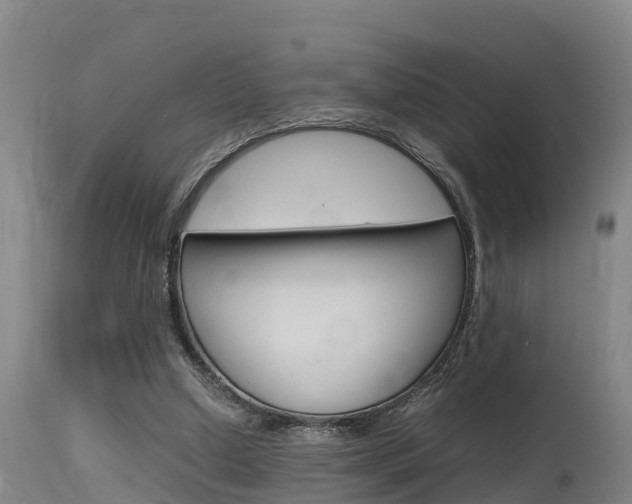 X0000115760250200911131006