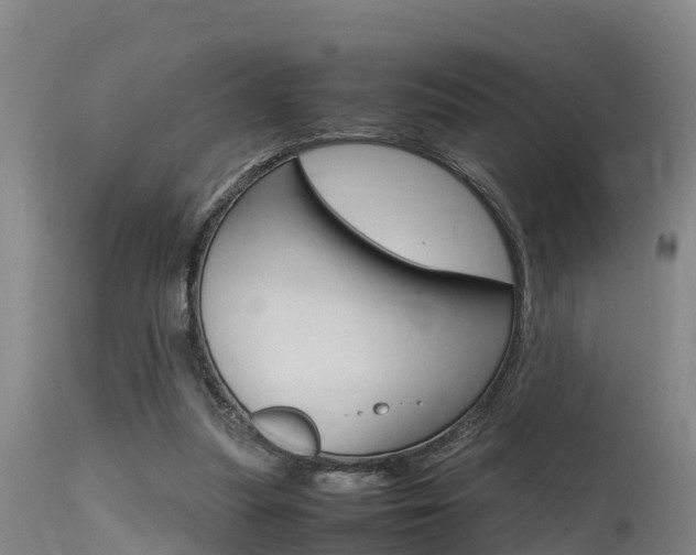 X0000115760251200911131006