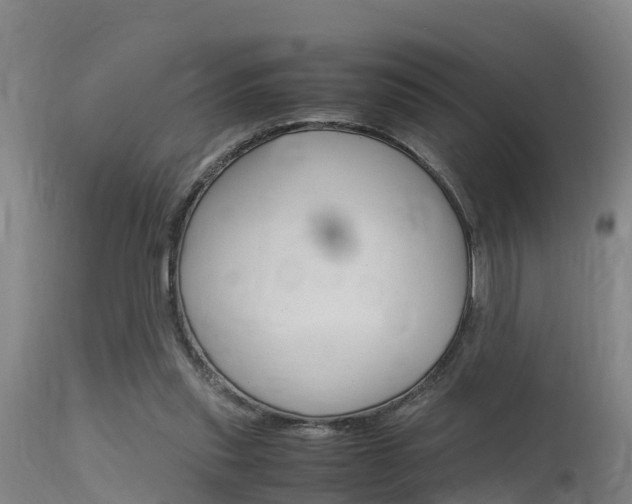 X0000115760253200911131006