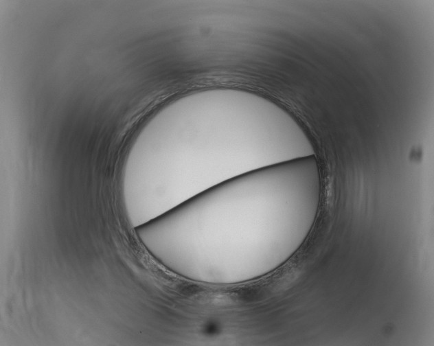 X0000115760254200911131006