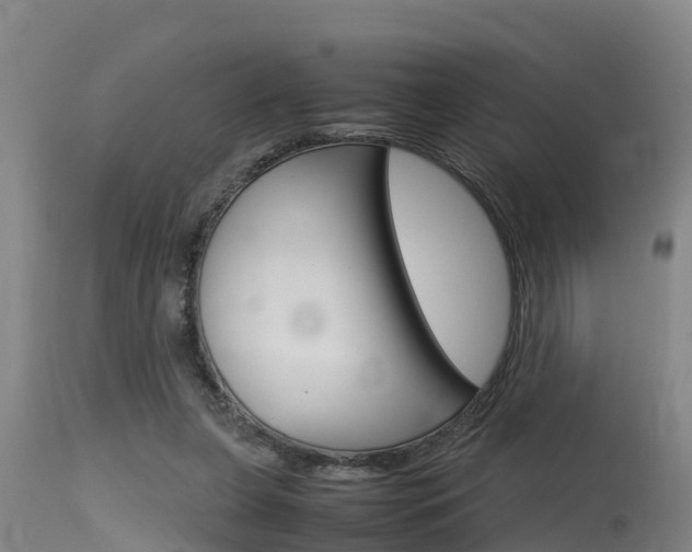 X0000115760255200911131006