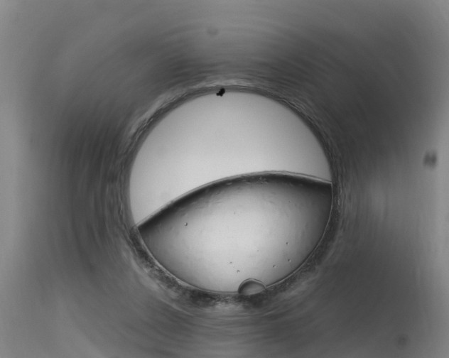 X0000115760256200911131006