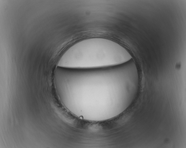 X0000115760258200911131006