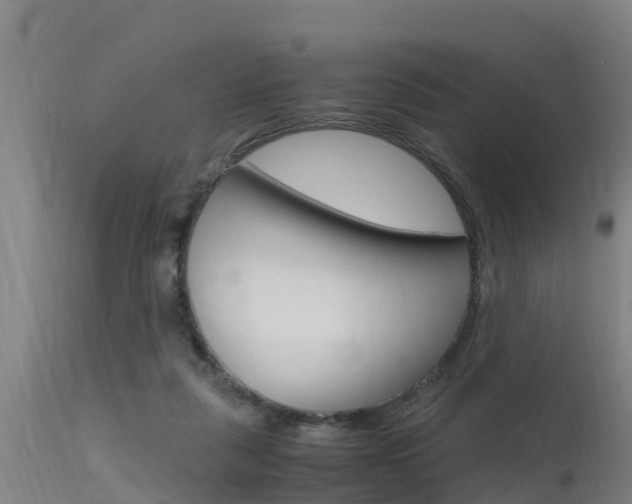 X0000115760259200911131006