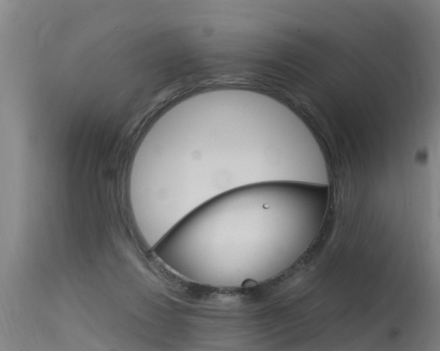 X0000115760260200911131006