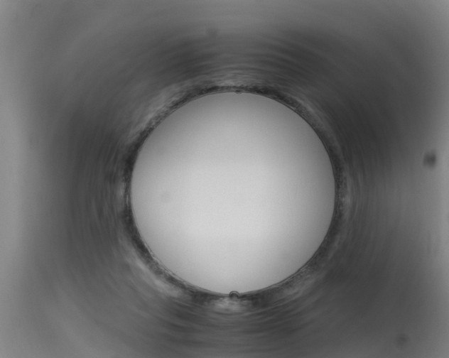 X0000115760261200911131006