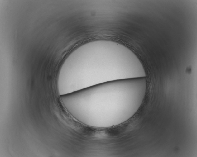 X0000115760262200911131006