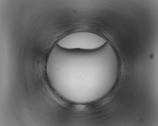 X0000115760265200911131006