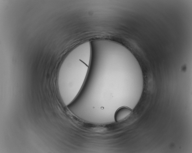 X0000115760266200911131006