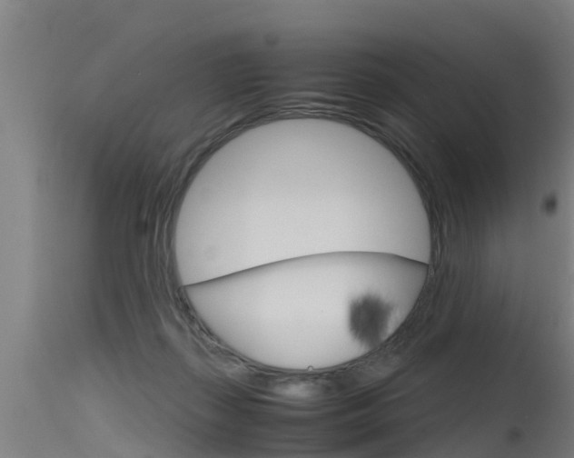 X0000115760267200911131006